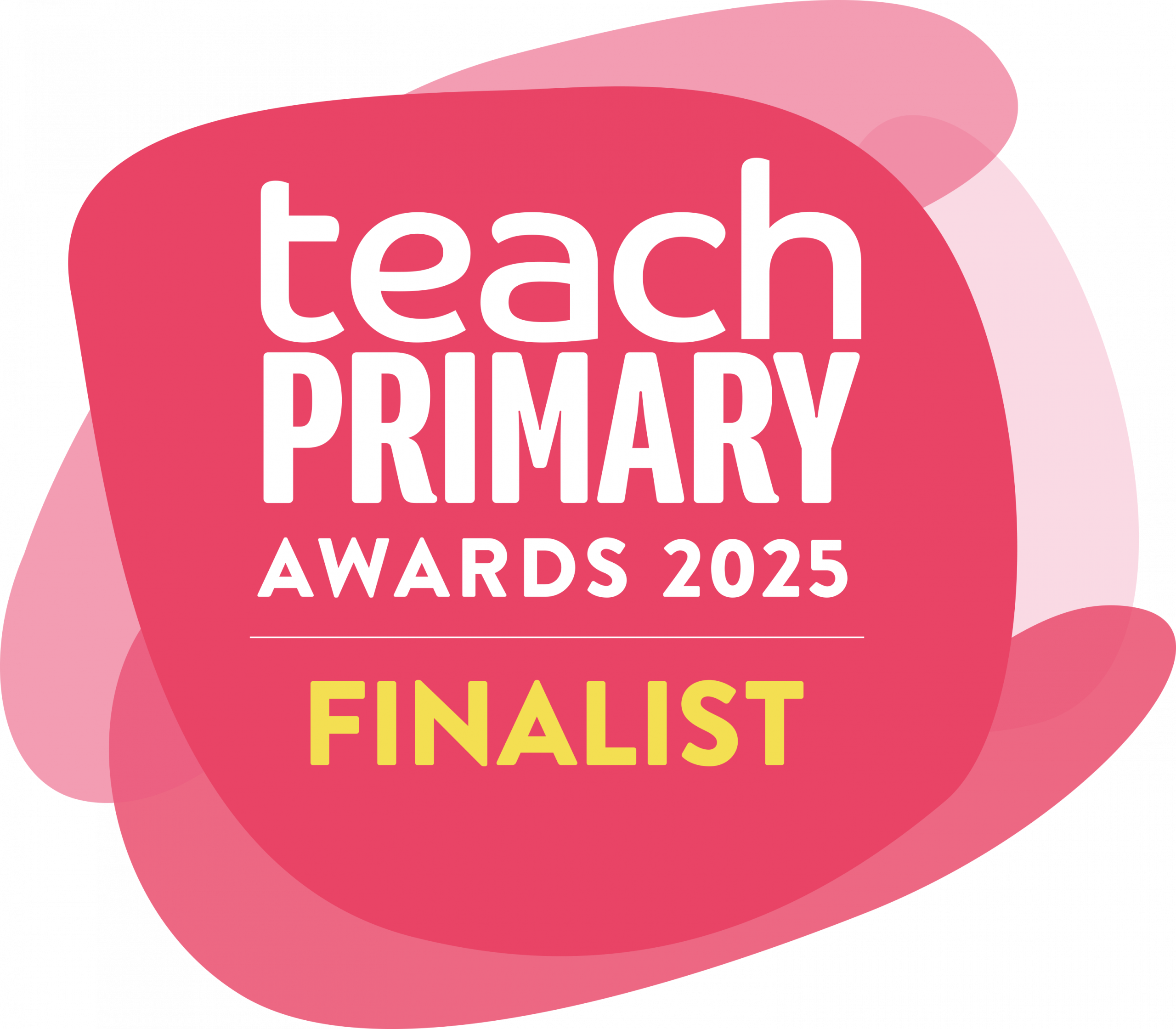 Team Primary Awards 2025 Finalist