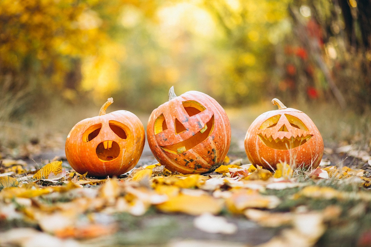 three pumpkins carved into faces for halloween